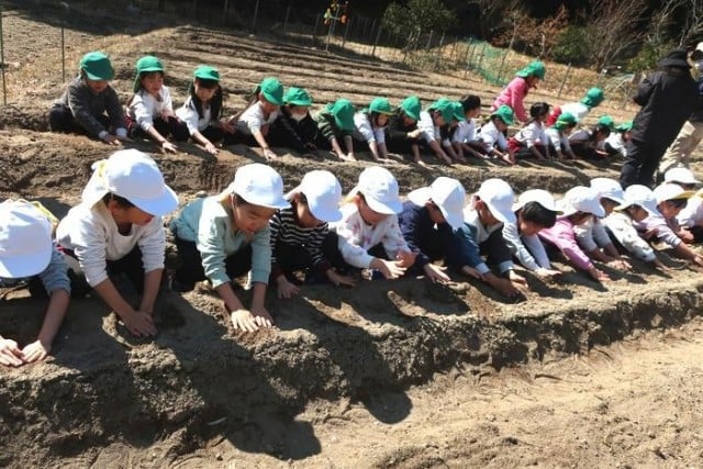 桑名市 コスモス幼稚園 制服等
